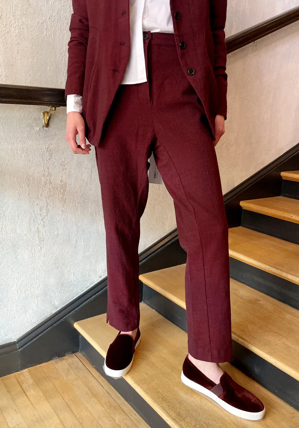 Regular Fit Pant - Wine